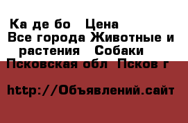 Ка де бо › Цена ­ 25 000 - Все города Животные и растения » Собаки   . Псковская обл.,Псков г.